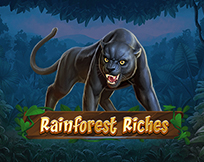 Rainforest Riches